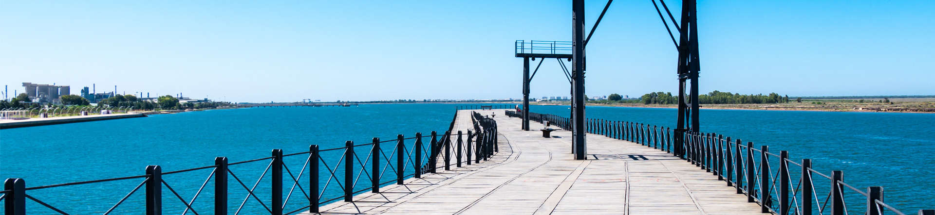 banner1